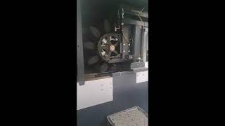 Greefa Smart Sort sorting machine for tomatoes [upl. by Aifos]