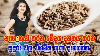 Cumin seeds benefits  ඇඟ හැඩ කරන මේදය දහනය කරන සූදුරු වල විශ්මිත ගුණ දැනගන්න [upl. by Akemad]