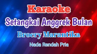 Karaoke Setangkai Anggrek Bulan  Broery Marantika Karaoke [upl. by Greenwell]