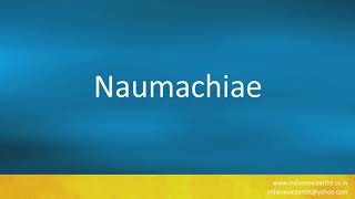 How to pronounce quotNaumachiaequot [upl. by Oludoet]