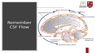 5 CSF Circulation amp Hydrocephalus [upl. by Enilesor]