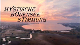 Mystische Herbstnebel Stimmung am BODENSEE  4K [upl. by Nosahc]