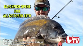 October 14th 2021 Long Island Metro Fishing Report with Matthew Broderick [upl. by Nesmat]