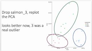 RNAseq results explained what you can expect from an analysis [upl. by Cirre]