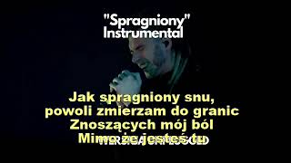 Kamil Bednarek Spragniony karaoke z tekstem [upl. by Gnet]