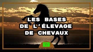 Elevage de chevaux  Tout ce que tu dois savoir [upl. by Hoem]