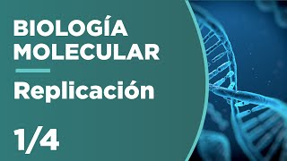 REPLICACIÓN del ADN  Biología Molecular 14 [upl. by Enella]