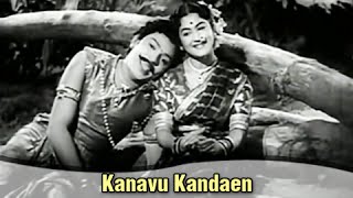 Kanavu Kandaen  S S Rajendran S Varalakshmi  Sivagangai Seemai  Tamil Romantic Song [upl. by Aicertal220]