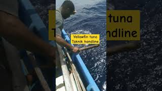 Mancing YellowfinTuna dengan Teknik handline shorts yellowfintuna handlinefishing [upl. by Portwine]