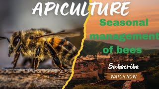 Seasonal management of Honeybees APICULTURE Management in Bees EntomologyBeneficial insect [upl. by Eliathan]