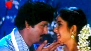 Mohan Babu Divya Bharti Evergreen Superhit Song  Chittemma Mogudu Movie Songs  Telugu Video Songs [upl. by Sirtimid]