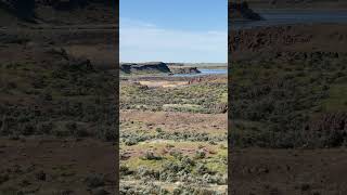 Columbia National Wildlife Refuge Eastern Washington USA [upl. by Weatherley]