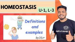 what is homeostasis  homeostasis in hindi  homeostasis in the human body  homeostasis class 11 [upl. by Oicneconi]