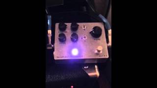 Fairfield circuitry Meet Maude analog delay quick bass demo [upl. by Lauree]