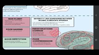 Transcorticol Mixed Aphasia an overview [upl. by Schechter297]