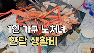 혼자 사는 여자 한달 생활비 이만큼 들었어요 ㅣ1인가구 브이로그 ㅣ40대 노처녀 [upl. by Carmen]