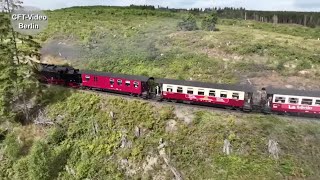 Waldsterben im Harz [upl. by Yddeg]