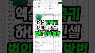 단축키 한번으로 5배 빨라지는 퇴근 엑셀 빈셀 범위 선택 방법 [upl. by Acinat]