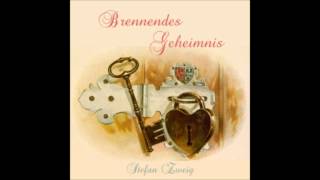 Brennendes Geheimnis von Stefan Zweig  115 Der Partner read by Julia Niedermaier [upl. by Sapienza448]