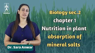 Biology sec2  chapter 1  Nutrition in plant  absorption of mineral salts [upl. by Neiviv]