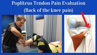 Popliteus Tendon Evaluation Back of the knee pain [upl. by Theron]