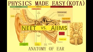 ANATOMY OF THE EAR AND HEART AUDITORY OSSICLES SEMICIRCULAR CANALS VESTIBULE COCHLEA FOR NEET6 [upl. by Anoit]