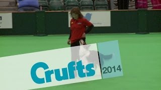 InterRegional Obedience  Class A  Part 7  Crufts 2014 [upl. by Ennaecarg]