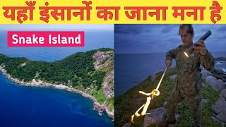 Snake Island Brazil In Hindi  साँपों का घर  YashTarara [upl. by Matilde]