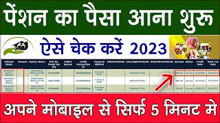 pension kaise check kare 2023  pension ka paisa kaise check kare  vridha pension kaise check kare [upl. by Pelagia]