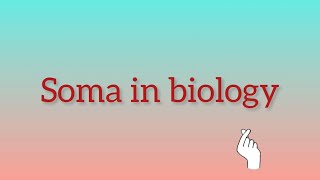 What is Soma in biology [upl. by Mcgraw]