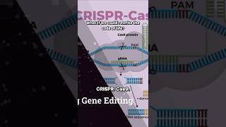 Code of Life CRISPRCas9 Gene 🧬  Medical Appraisals [upl. by Yhotmit866]