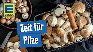 Leckere PilzRezepte  Gerichte mit Pfifferlingen Champignons Steinpilzen und Co [upl. by Ednihek]