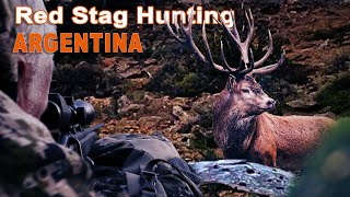 Red Stag Hunting in Argentina Chasse du Cerf en Argentine  2022 [upl. by Uhej180]