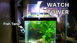 I Gave My Fish A Watch Tower [upl. by Iggam]