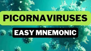 Picornaviruses  Easy Mnemonic [upl. by Vokaay]