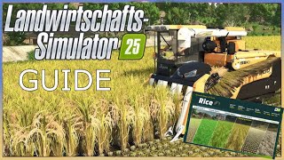 LS25Reis Guide für Anfänger  GUIDE Rice Deutsch LANDWIRTSCHAFTS SIMULATOR 25 [upl. by Freiman]