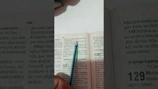 Salmos 1263 Estamos Alegresbibliamensagemdiariayoutubeshorts [upl. by Barboza195]