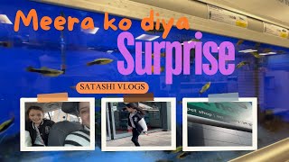 Meera ko diya surprise  Family vlog  Satashi vlogs [upl. by Ahsait]