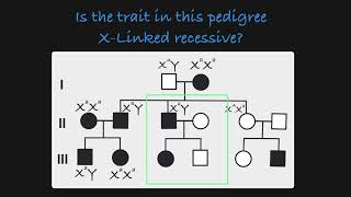 XLinked Recessive Traits in a Pedigree [upl. by Ahseia866]