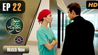 Sawal e Ishq  EP 22  Turkish Drama  Ibrahim Çelikkol  Birce Akalay  RE1 [upl. by Ivanna705]