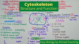 Cytoskeleton Structure and Function  Role in Motility [upl. by Oderfigis]