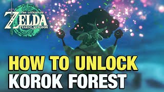 How to Unlock KOROK FOREST Save Korok Forest Zelda Tears of the Kingdom [upl. by Klatt413]