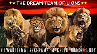 Así sería LA COALICIÓN más PODEROSA de la HISTORIA  ⭐DREAM TEAM LIONS ⭐🦁 [upl. by Myrna903]