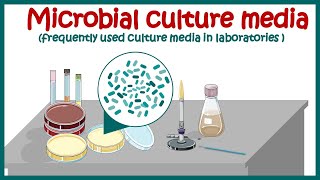 Bacterial culture media classification and types of bacterial media  enriched amp differential media [upl. by Rieth]