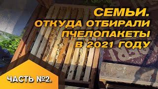 Семьи откуда отбирали пчелопакеты на 2021 год Часть №2 Видео от 2 мая 2021 г [upl. by Dalis]