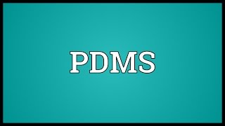 PDMS Meaning [upl. by Enomrej309]