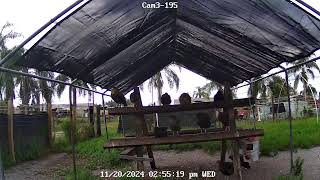 CHICKEN LIVE CAM [upl. by Ecnaret]