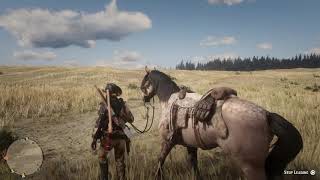 Red Dead Redemption 2 Online  Dappled Buckskin Horse  Norfolk Roadster  Part 2 [upl. by Anikes]