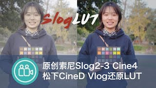 后期原创sony slog2 slog3 cine4松下cineD颜色还原lut下载 [upl. by Egidio912]