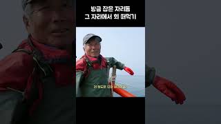 방금 잡은 자리돔 그 자리에서 회 떠먹기 골라듄다큐 shorts [upl. by Eicak616]